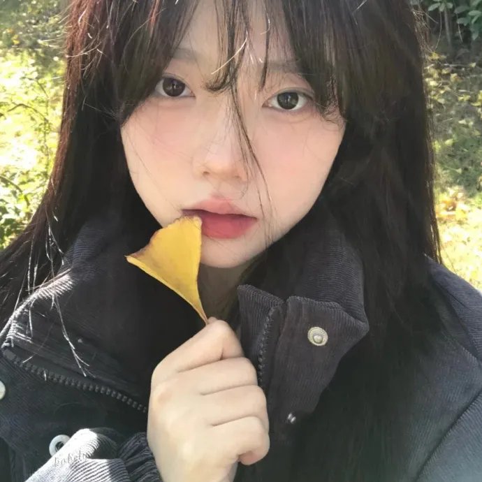 侦探罗曼史