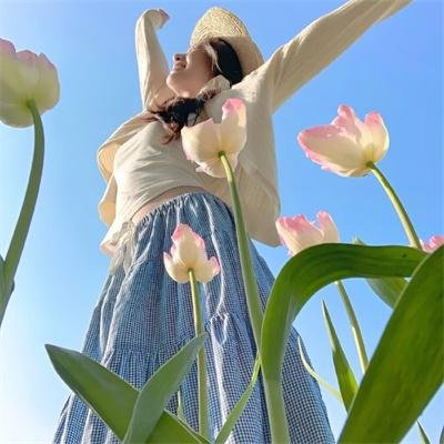 老鸟出招